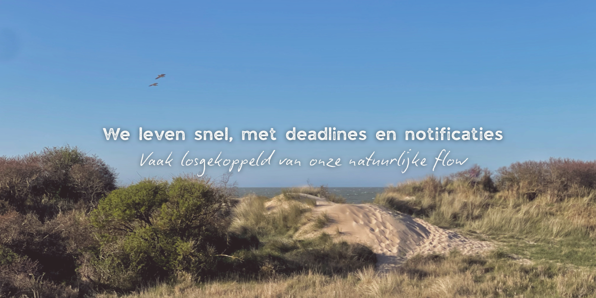 Voel je je opgejaagd? Zo helpt de natuur je vertragen